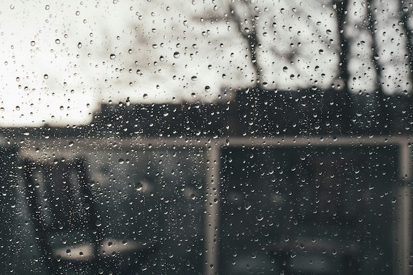 Looking out through a rainy window