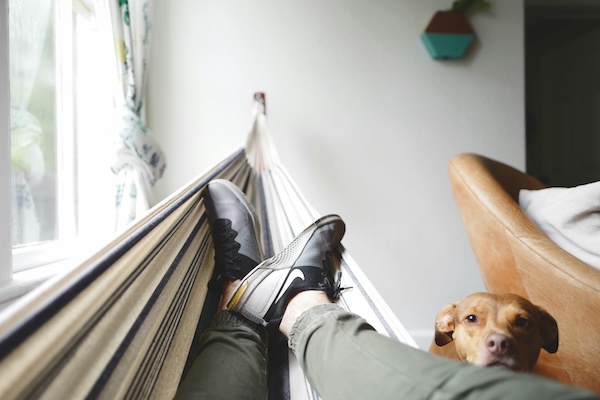man resting in a hammock with a dog beside him